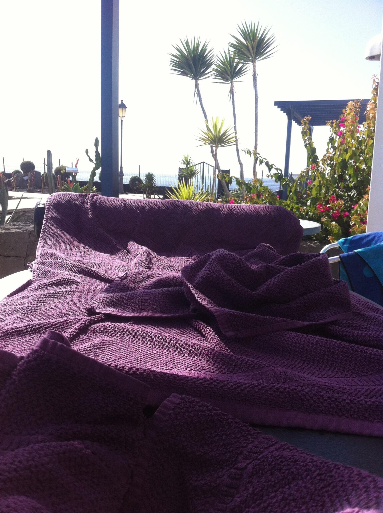 WhatsApp Image 2025-08-27 at 1.03.02 PM